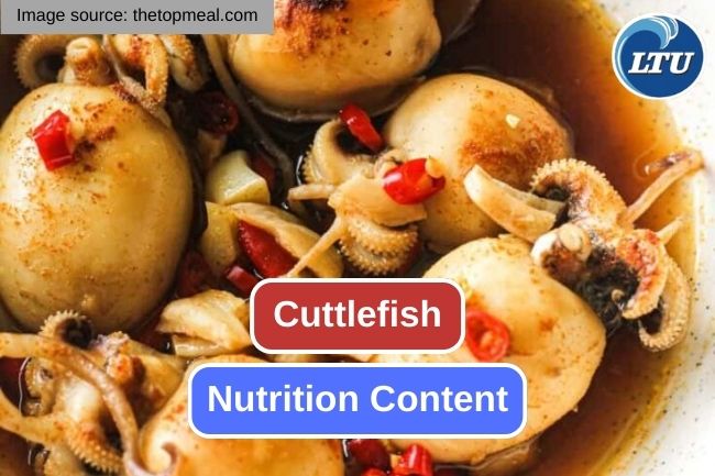 8 Essential Nutrition Content in Cuttlefish